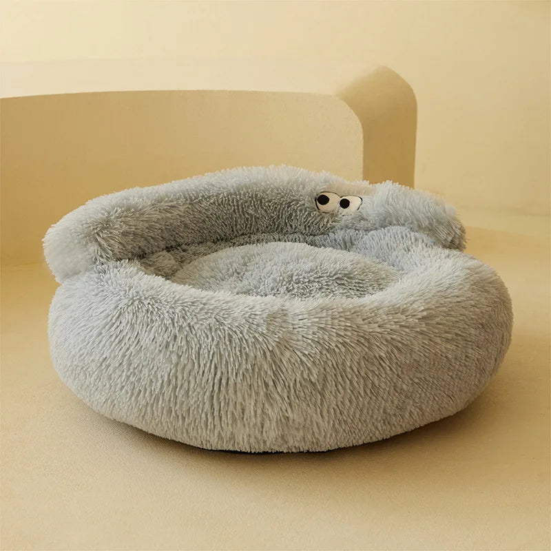 All-in-One Cat and Dog Bed