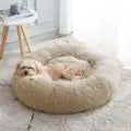 All-in-One Cat and Dog Bed