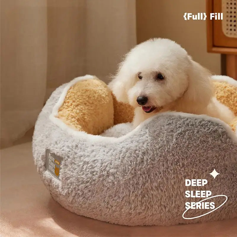 All-in-One Cat and Dog Bed