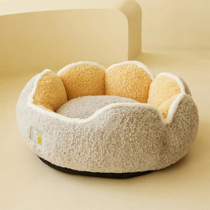 All-in-One Cat and Dog Bed