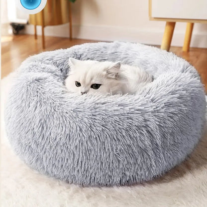 All-in-One Cat and Dog Bed