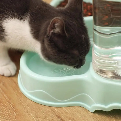Automatic Pet Feeder Bowls